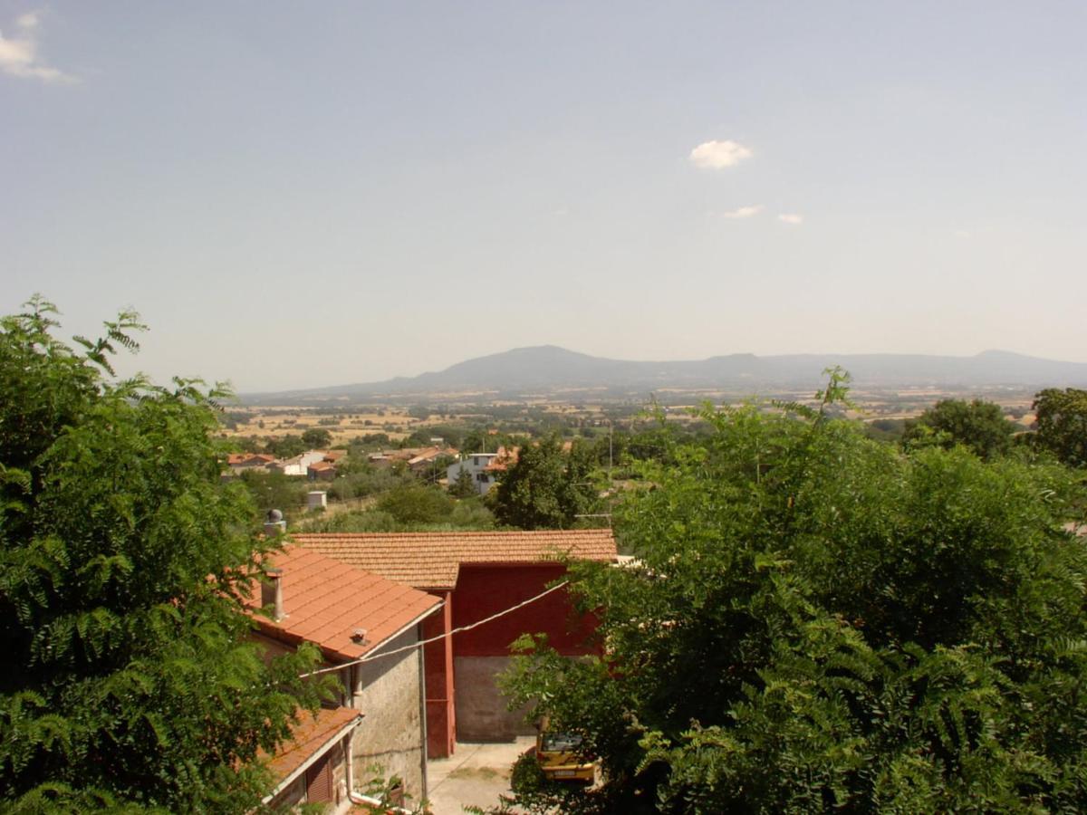 I Tulipani Olandesi Bed & Breakfast Zepponami Luaran gambar